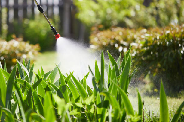 24/7 Emergency Mosquito Control experts in Sandy Hook, CT