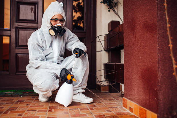 Reliable Mosquito Control contractor in Sandy Hook, CT by Show Me Pest Control