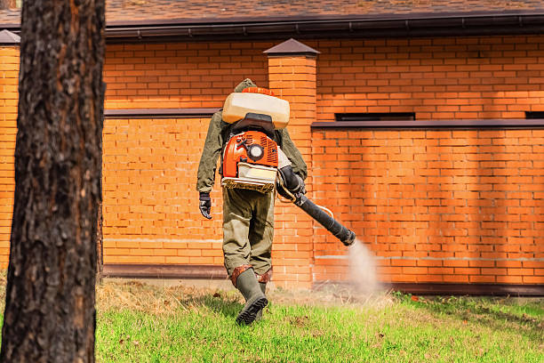 Top rated local Mosquito Control specialists in Sandy Hook, CT
